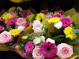 Pink And Yellow Flowers